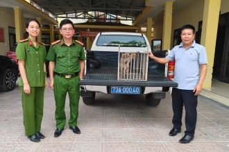 Vườn Quốc gia Phong Nha - Kẻ Bàng tiếp nhận nhiều cá thể động vật hoang dã nguy cấp, quý, hiếm để cứu hộ